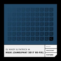 DJ Wady & Patrick M - Hulk (Camelphat Remix - Mixed) album artwork