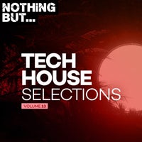VA - Nothing But... Tech House Selections, Vol. 13 NBTHS13B