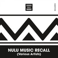 VA - Nulu Music Recall [NuLu Music]