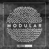 VA - Modular, Vol. 46 [Re vibe Audio]
