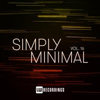 VA - Simply Minimal Vol. 16 LWSM16