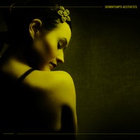 VA - Downtempo Aesthetes [Stereoheaven]