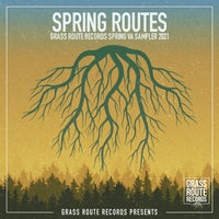 VA - Spring Routes 2021 [Grass Route Records]