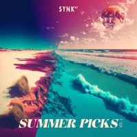 VA - SUMMER PICKS Vol.1 [SYNK87]