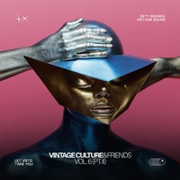 Vintage Culture & Roddy Lima - Analog Ascent album artwork