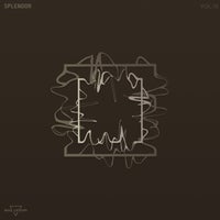 VA - Splendor, Vol. 10 [AL236] [FLAC]
