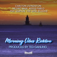 VA - Morning Vibes Riddim [Deeper Vision Recordings]