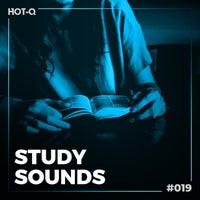 VA - Study Sounds 019 [LW Recordings]