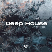 VA - Deep House Winter Moods [Impure]