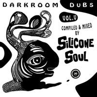 VA - Darkroom Dubs Vol. V - Compiled & Mixed By Silicone Soul [DRDDA005]