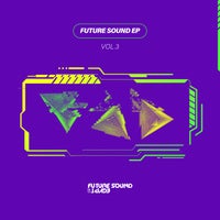 VA - Future Sound Vol. 3 [FSOE]