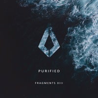 VA - Purified Fragments XIII [PF104]
