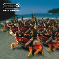 The Prodigy - Smack My Bitch Up album artwork