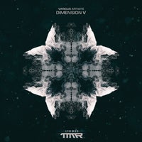 VA - Dimension V [Take More Music Records]