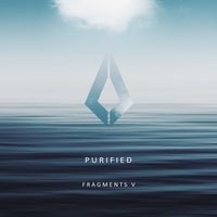 VA - Purified Fragments V [Purified Records]
