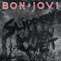 Bon Jovi - Never Say Goodbye album artwork