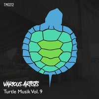 VA - Turtle Musik Vol. 9 [Turtle Musik]