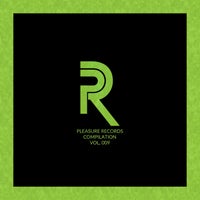 VA - Pleasure Records Compilation, Vol. 9 [Pleasure Records]