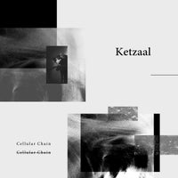 Ketzaal - Cellular Chain album artwork