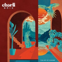 Charli Brix & Envy - Afraid of Love album artwork