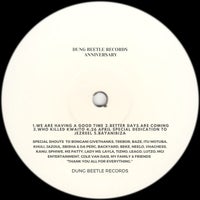 VA - Dung Beetle Records Anniversary, Vol. 2 - (Dung Beetle Records)