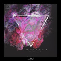 VA - Triangle Vol. 6 ALULA176