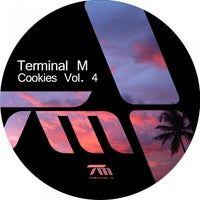 VA - Terminal M Cookies Vol. 4 [TERM137]