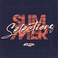 VA - Summer Selections [Salted Music]