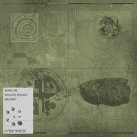 Slimy Ape - Invasive Species album artwork