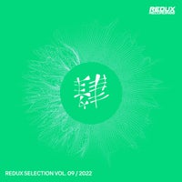 VA - Redux Selection Vol. 9 2022 [Redux Digital]