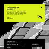 VA - Augmented 007 _ Michael A [ALLEYAUG007]