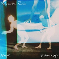 Disclosure & RAYE - Waterfall (TOKiMONSTA Remix) [Apollo Recs]