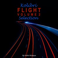 VA - Kolibri - Flight Selection, Vol. 2 [KOLIBRI105]