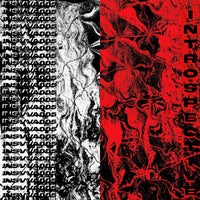 VA - Insvva005 [Introspective Rec.]