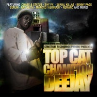 Top Cat & DJ Rap - Ruffest Gun Ark (DJ Rap Mix) album artwork