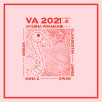 VA - Va 2021 [WHRS009] [WAV]