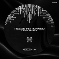 Reece Pritchard - Effective album artwork