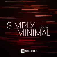 VA - Simply Minimal Vol. 13 [LW Recordings]
