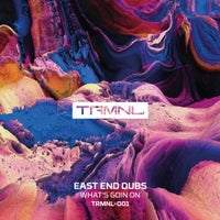East End Dubs - What's Goin On album artwork