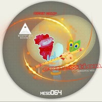 RICHX CAMP - Conextion [MESOPOTAMIA RECORDS]