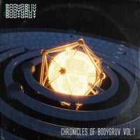 VA - Chronicles Of Bodygruv, Vol. 1 BDG001E
