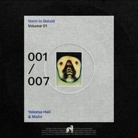 Vorm in Geluid - Vorm in Geluid 001 album artwork