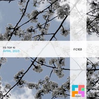 VA - FG Top 10 April 2023 [FGComps]