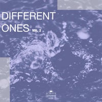 VA - Different Ones - VOL. 2 [Always Different]