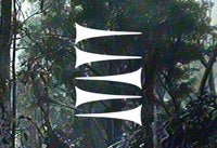 Carbon Sigil