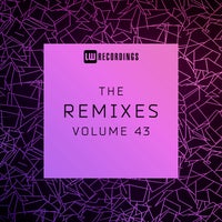 VA - The Remixes Vol. 43 LWTR43