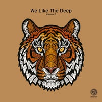VA - We Like the Deep, Vol. 2 - (Dessous Recordings)
