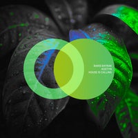 Baris Bayrak & Kostyn - House Is Calling album artwork