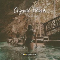VA - Organic House 01 [FM052LP]