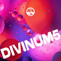 VA - Divinum 5 [Natura Viva In The Mix]